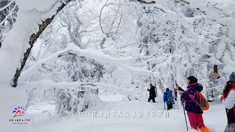 微信图片_20171125193648