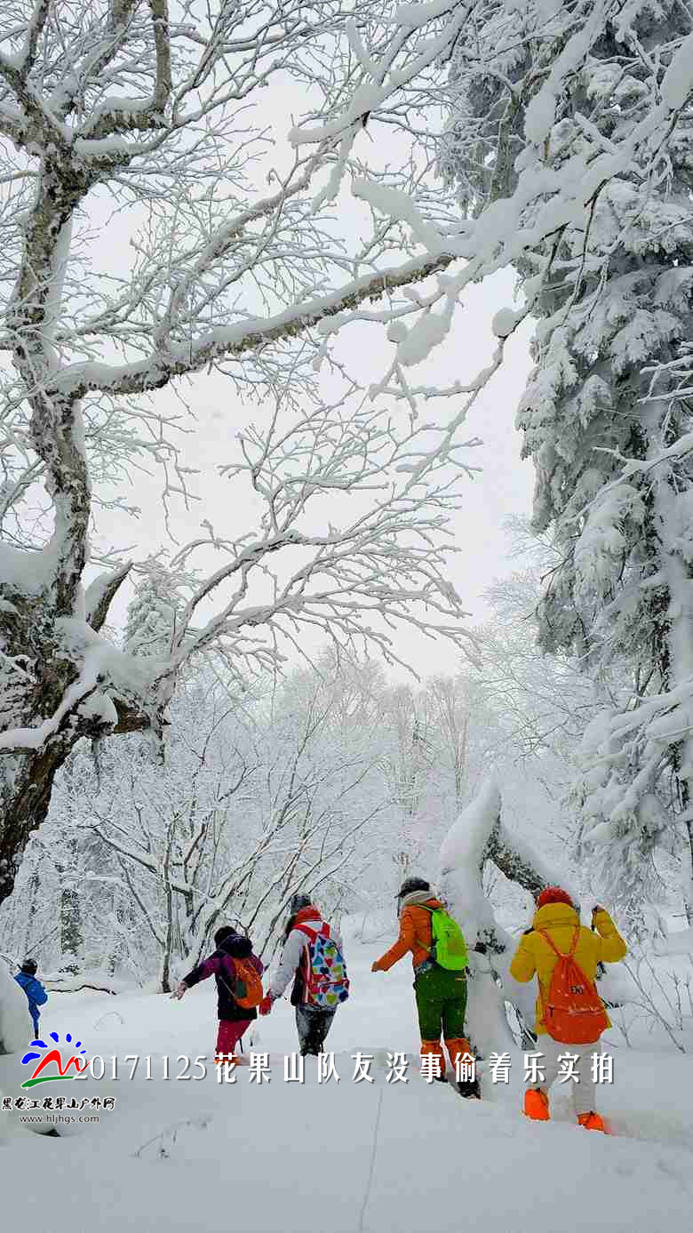 微信图片_20171125193657