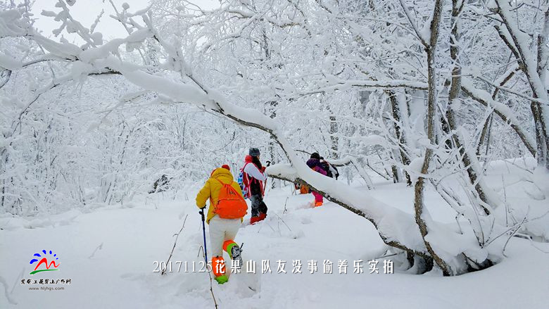 微信图片_20171125193712