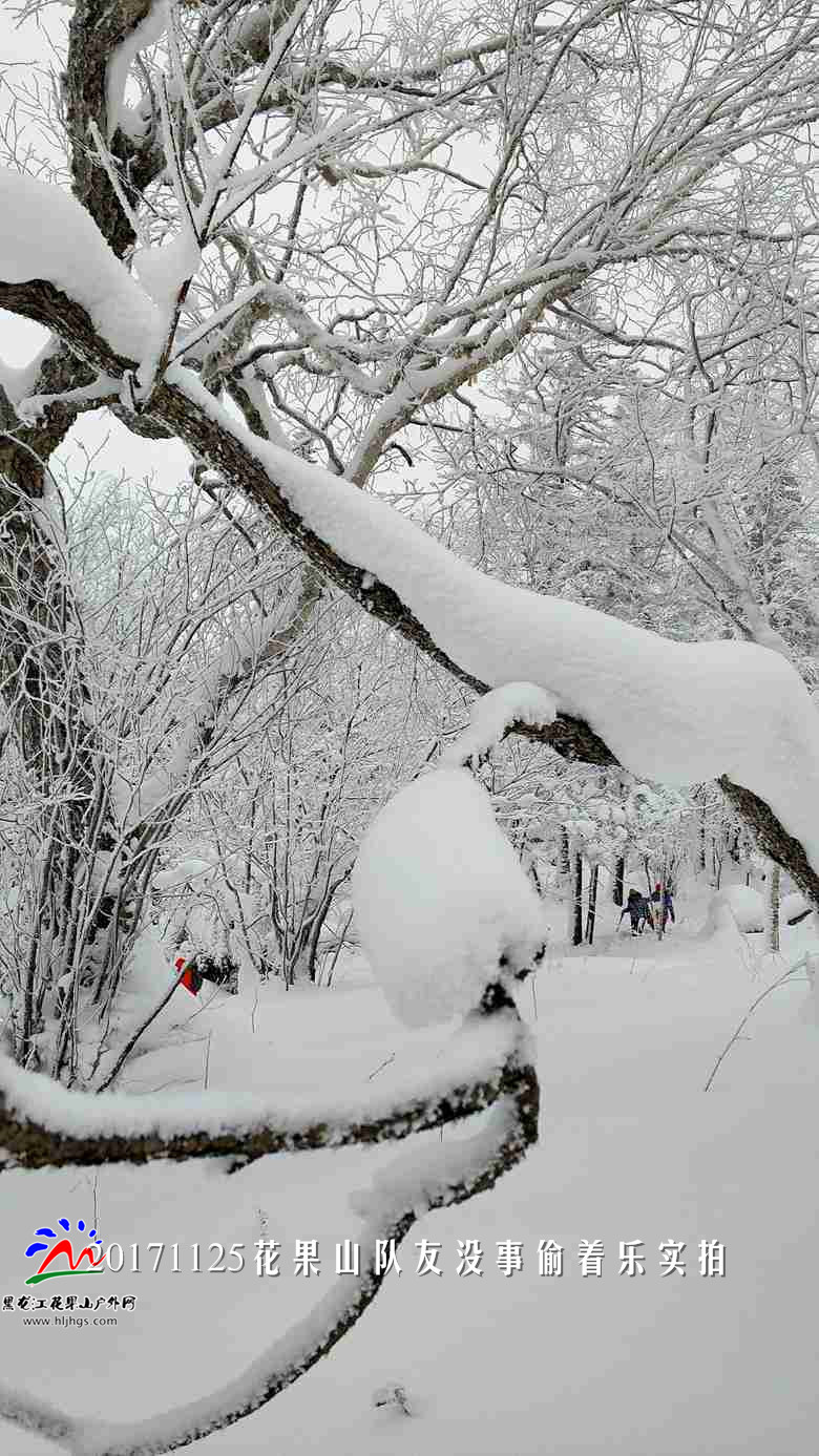 微信图片_20171125193714