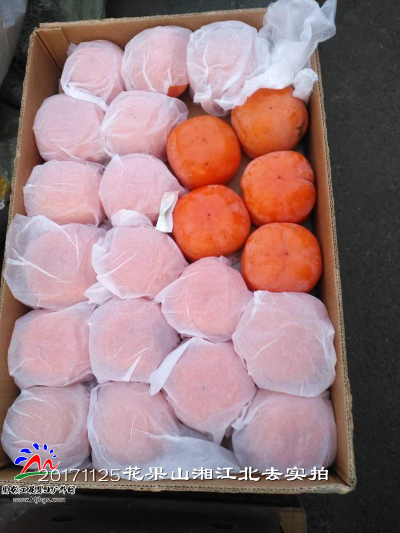 微信图片_20171125164253