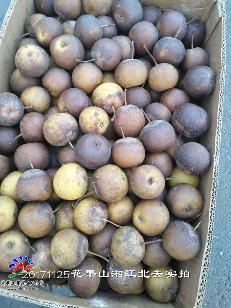 微信图片_20171125164257