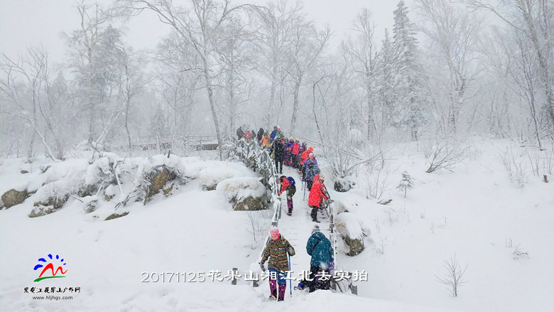 微信图片_20171125165839