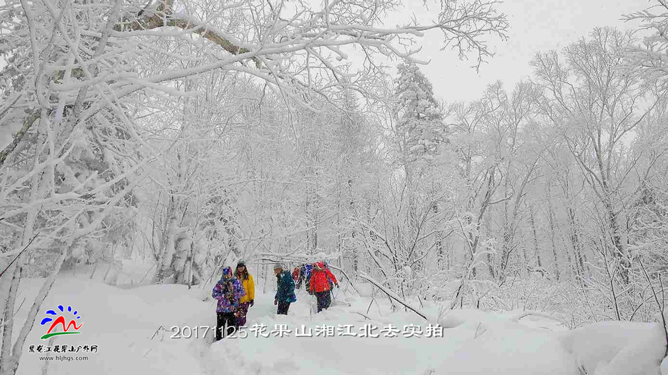 微信图片_20171125165845