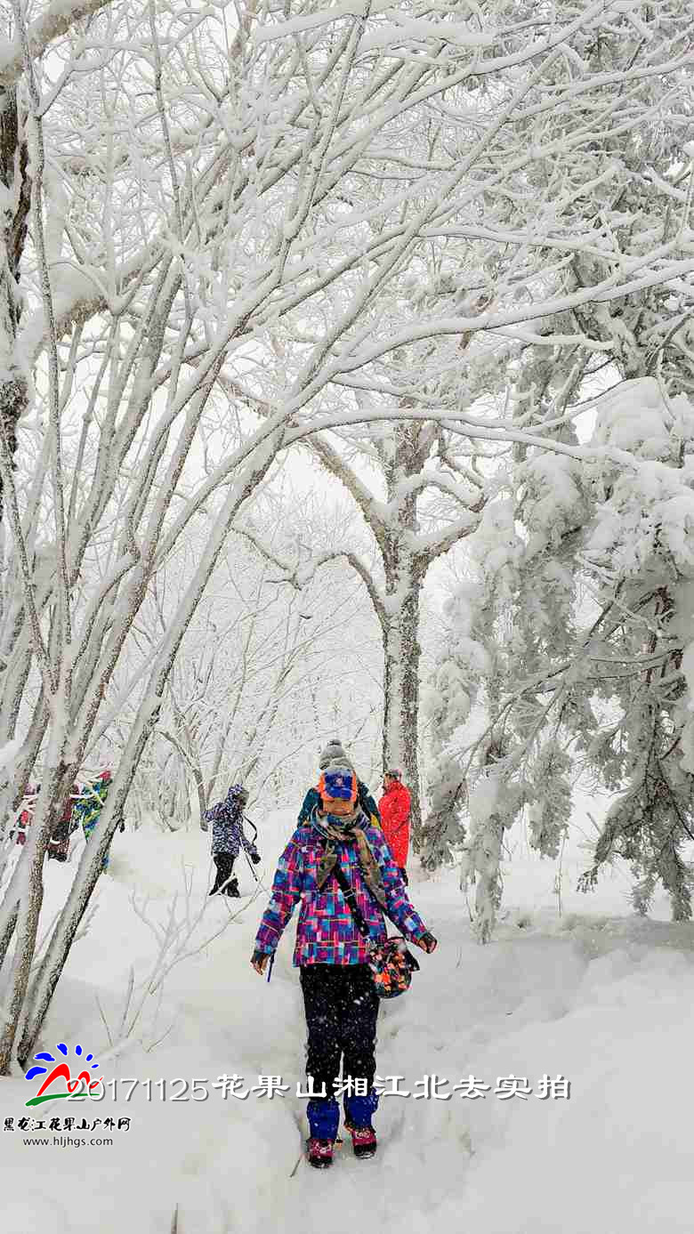微信图片_20171125165851