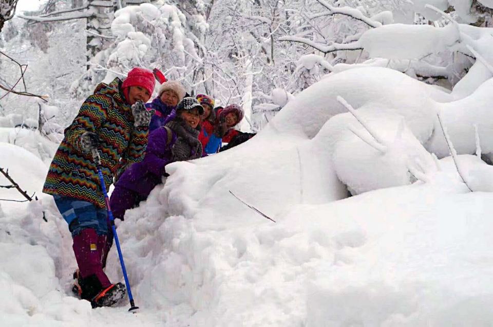 微信图片_20171129151915