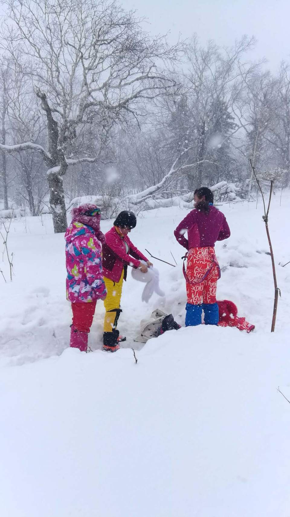 微信图片_20171202165709