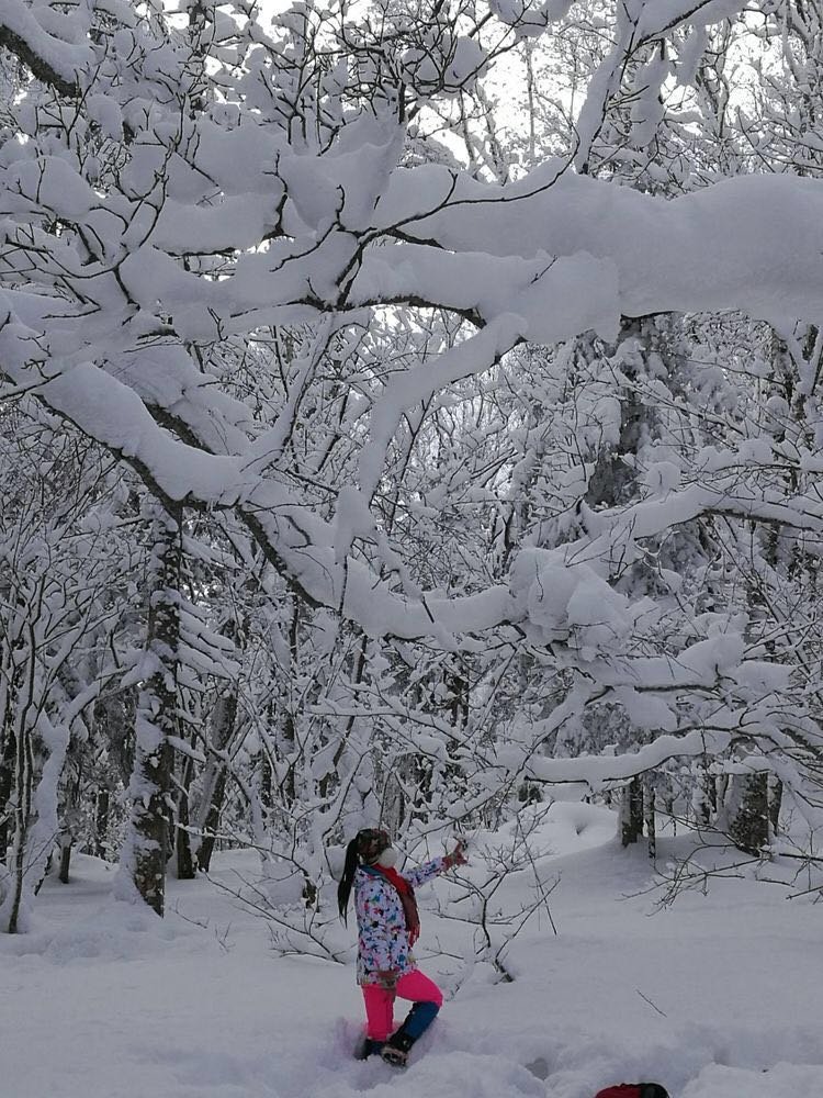 微信图片_20171202184424