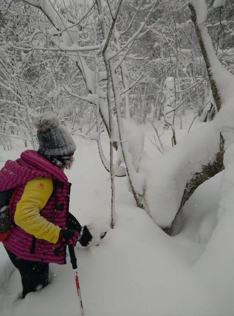 微信图片_20171210172631