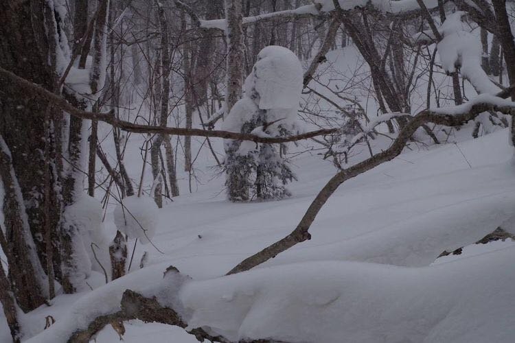 微信图片_20171210172647