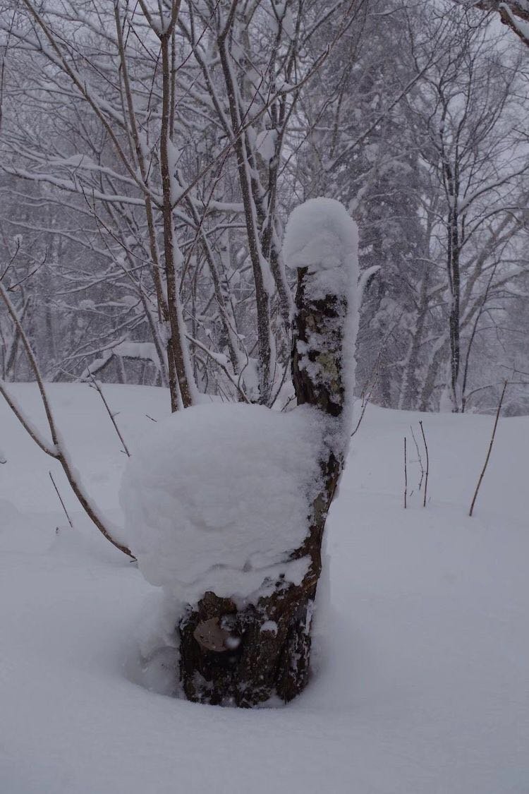 微信图片_20171210172650