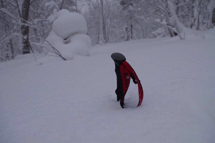 微信图片_20171210172655