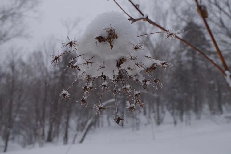 微信图片_20171210172659