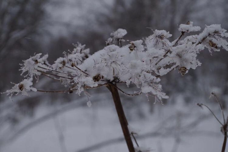 微信图片_20171210172701