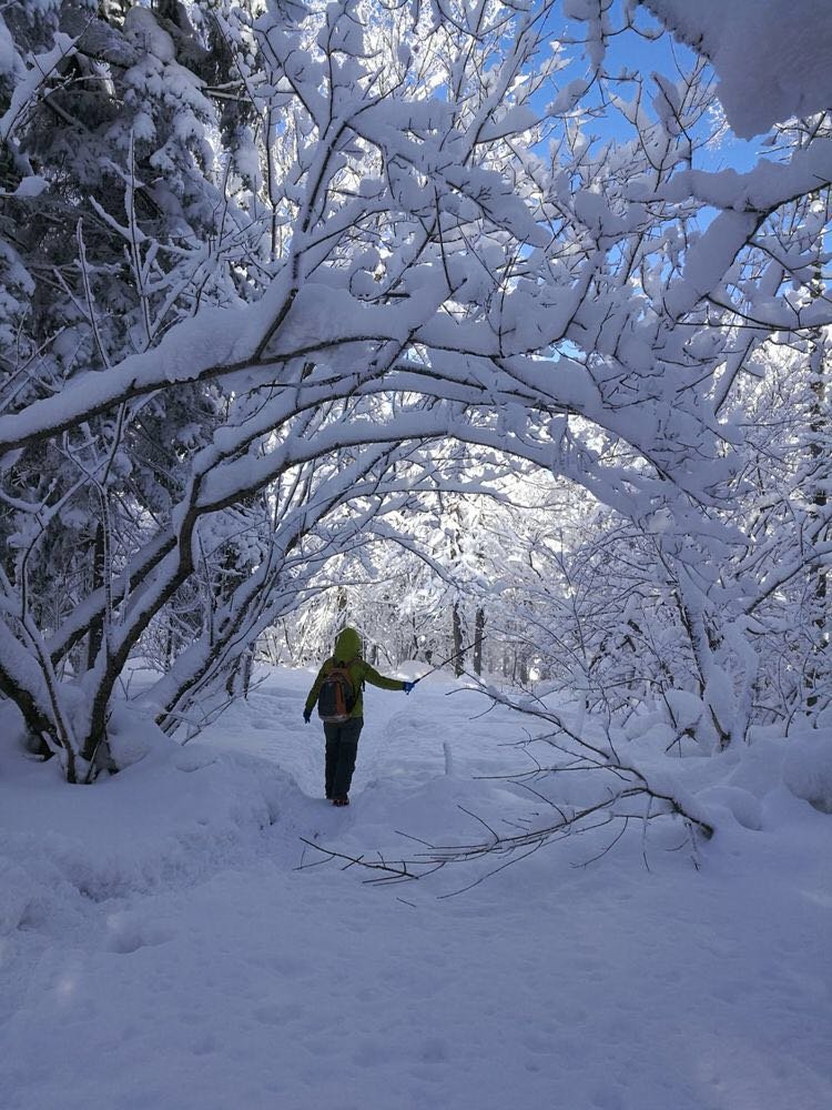 微信图片_20171210172705
