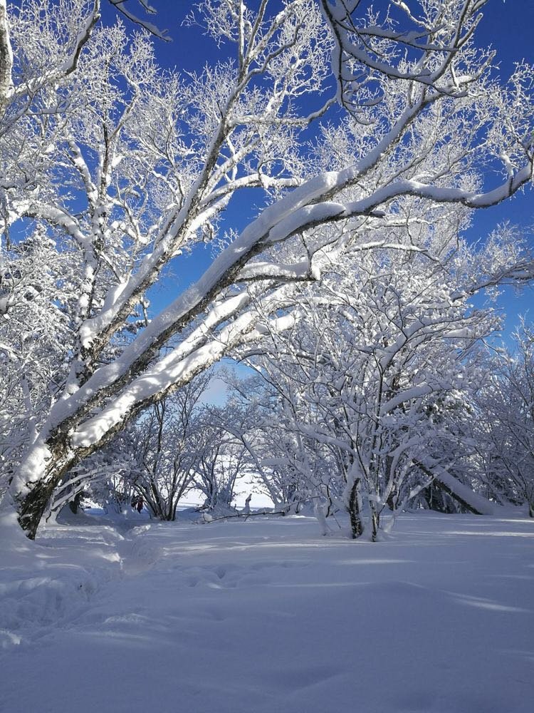 微信图片_20171210172714