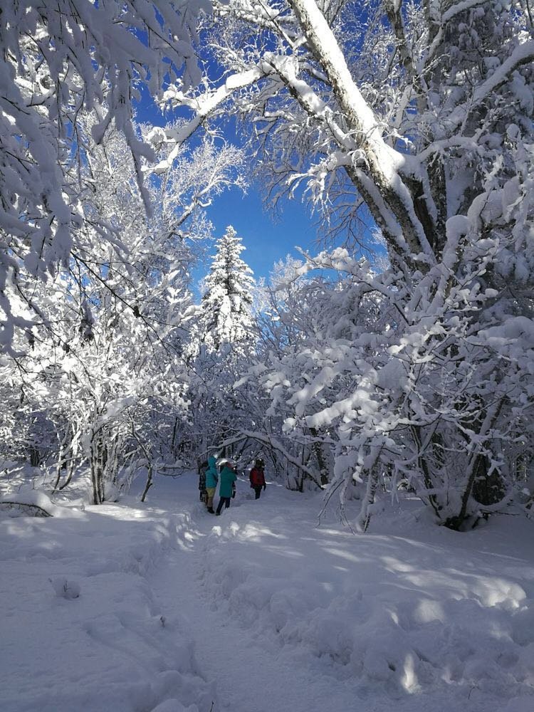 微信图片_20171210172725