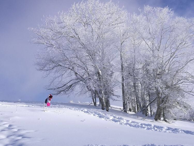 微信图片_20171210172728