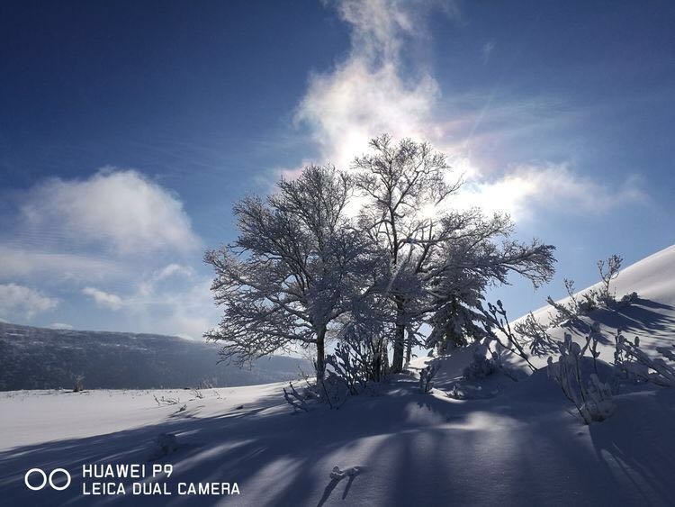 微信图片_20171210172736
