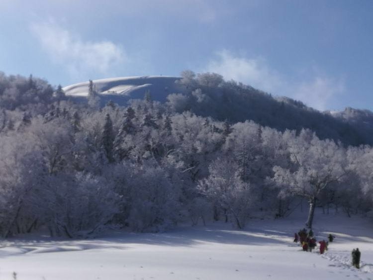 微信图片_20171210172742