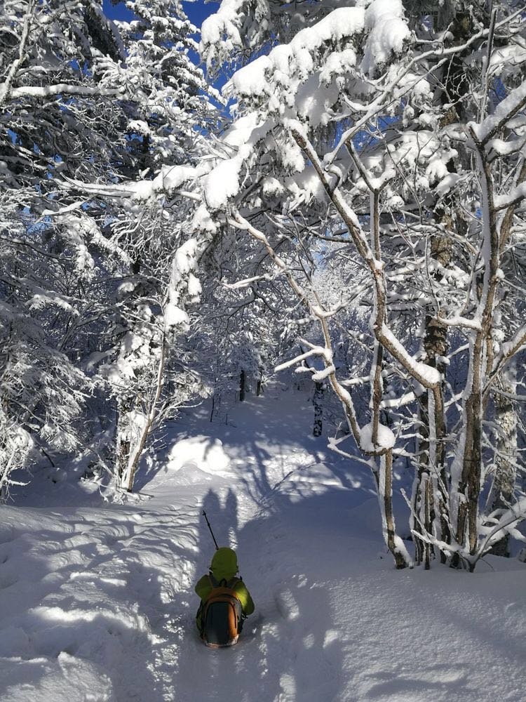 微信图片_20171210172745