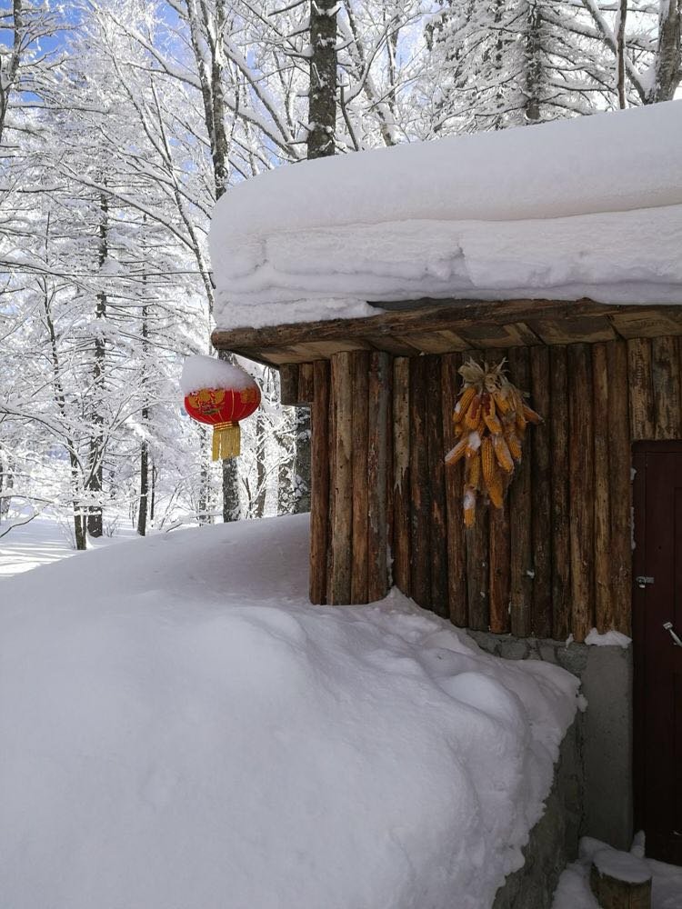 微信图片_20171210172753