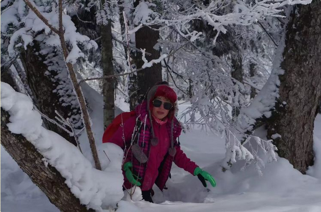 微信图片_20171210173529