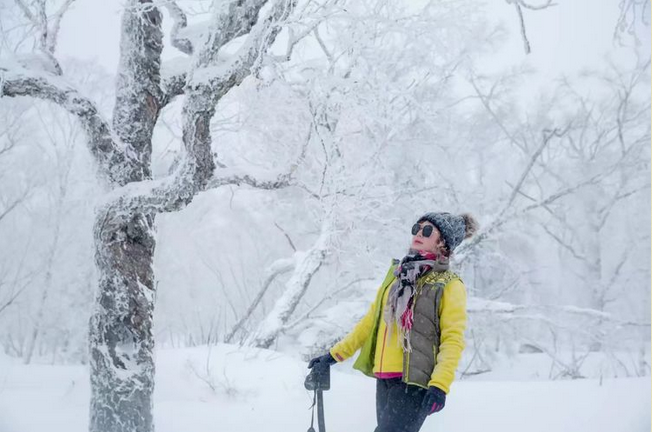 微信图片_20171210173916