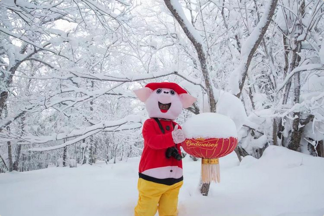 微信图片_20171210173925