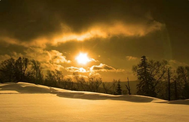 微信图片_20171210173946