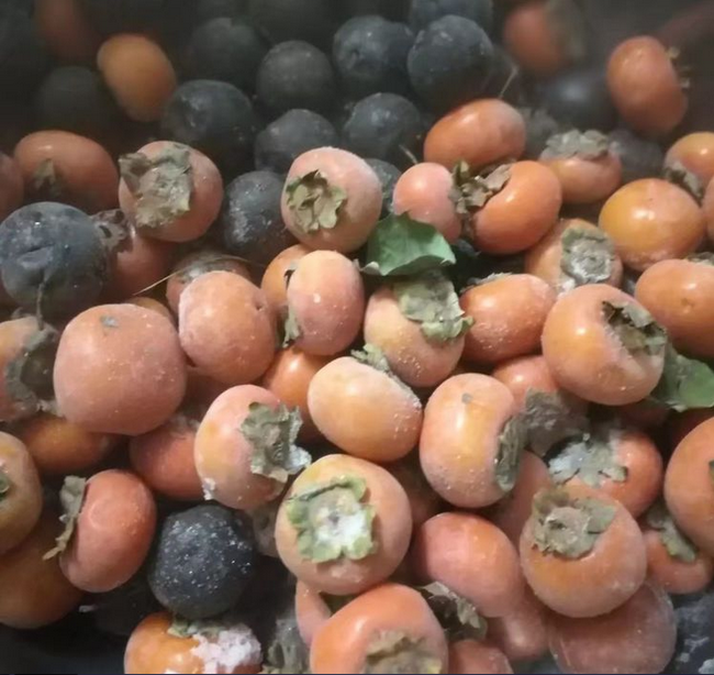 微信图片_20171210173949