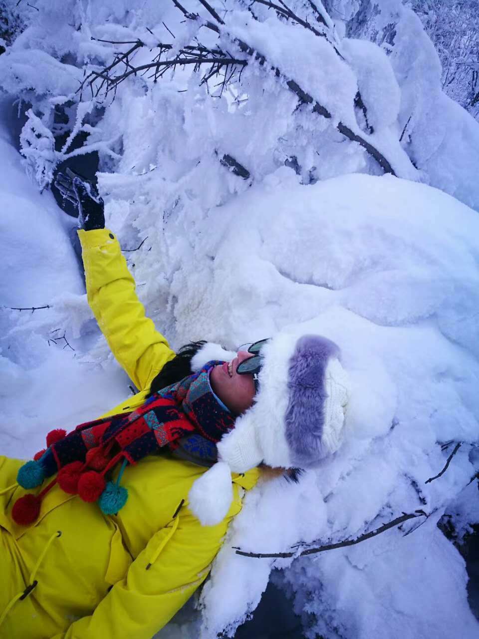 微信图片_20171211122259