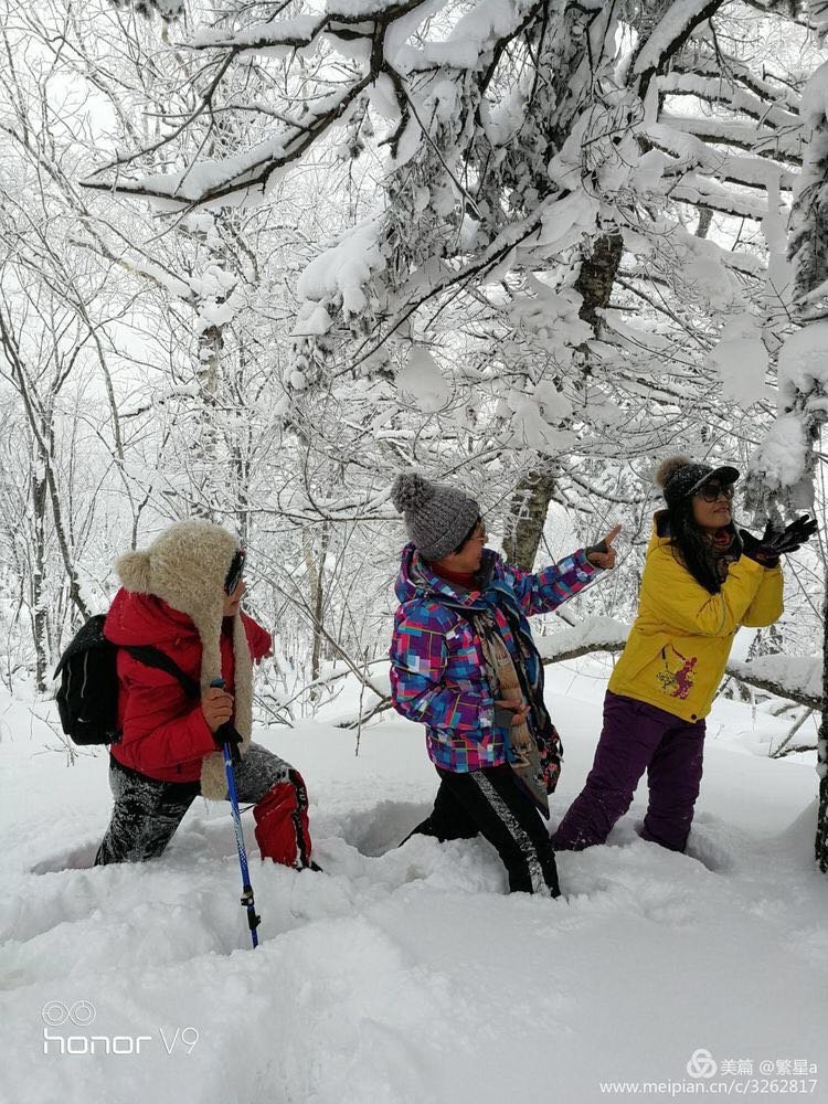 微信图片_20171210171846