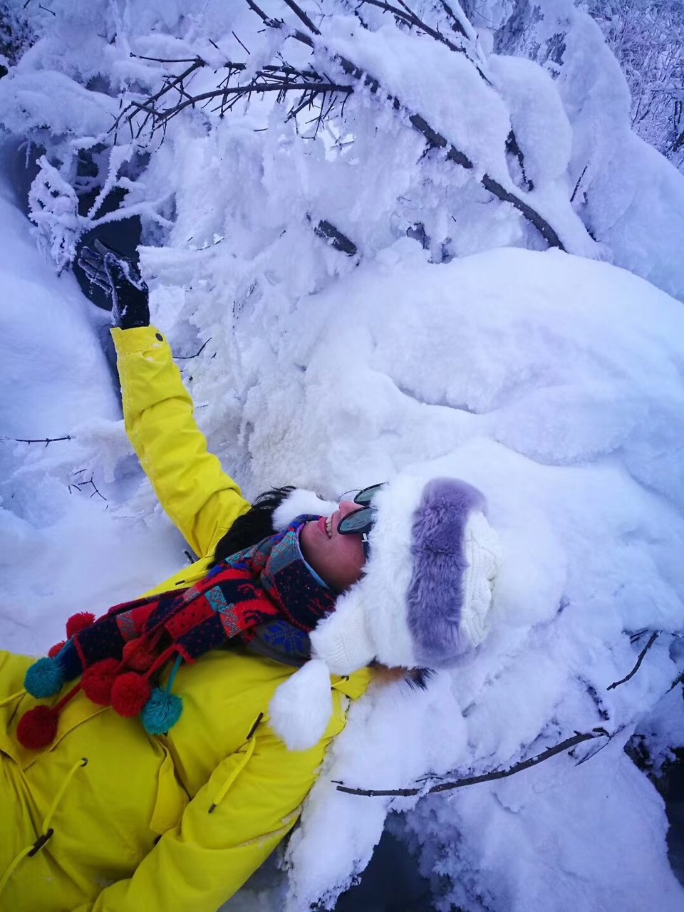 微信图片_20171210171455