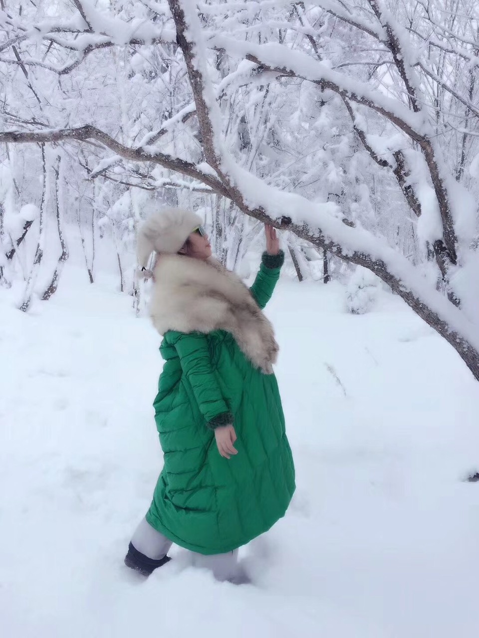 微信图片_20171210171516