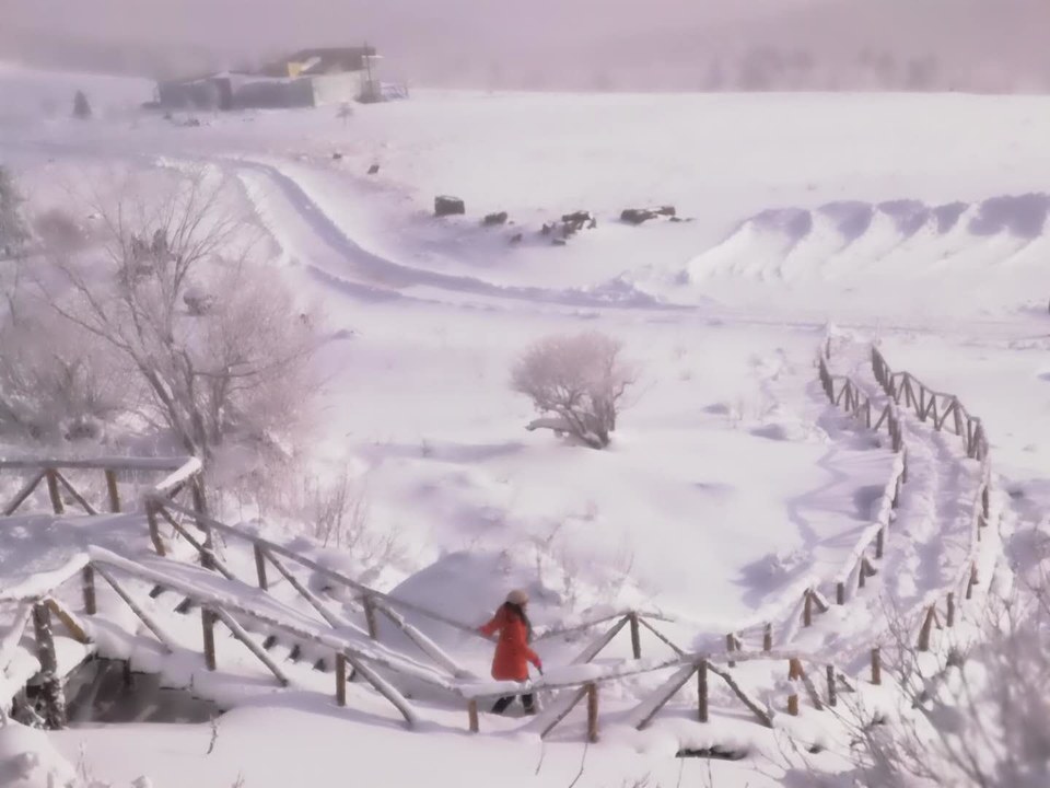 微信图片_20171119104018