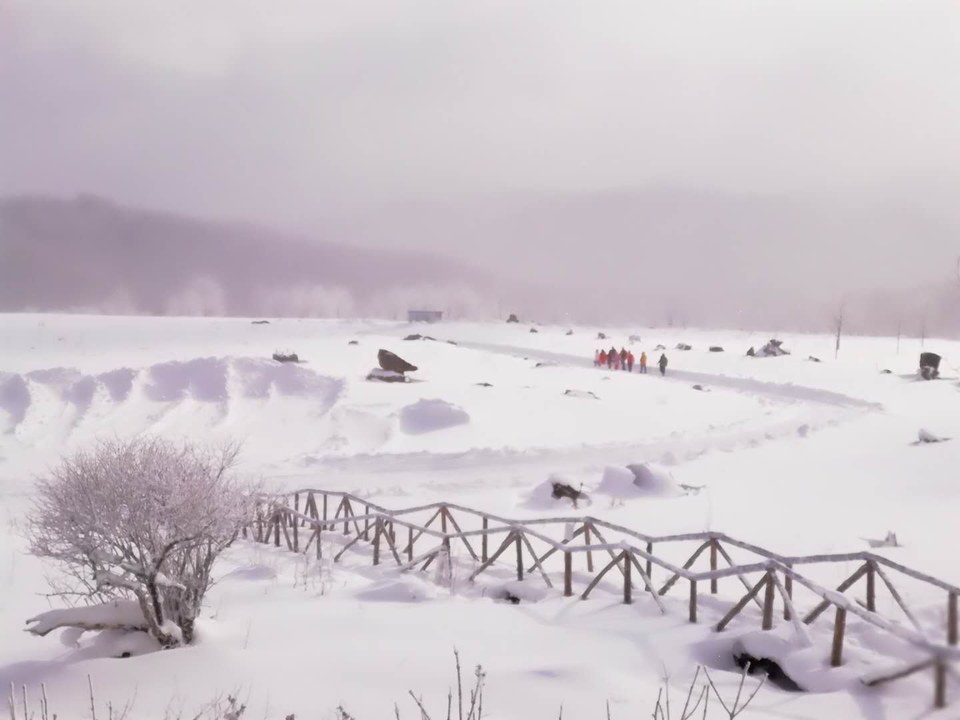 微信图片_20171119104021