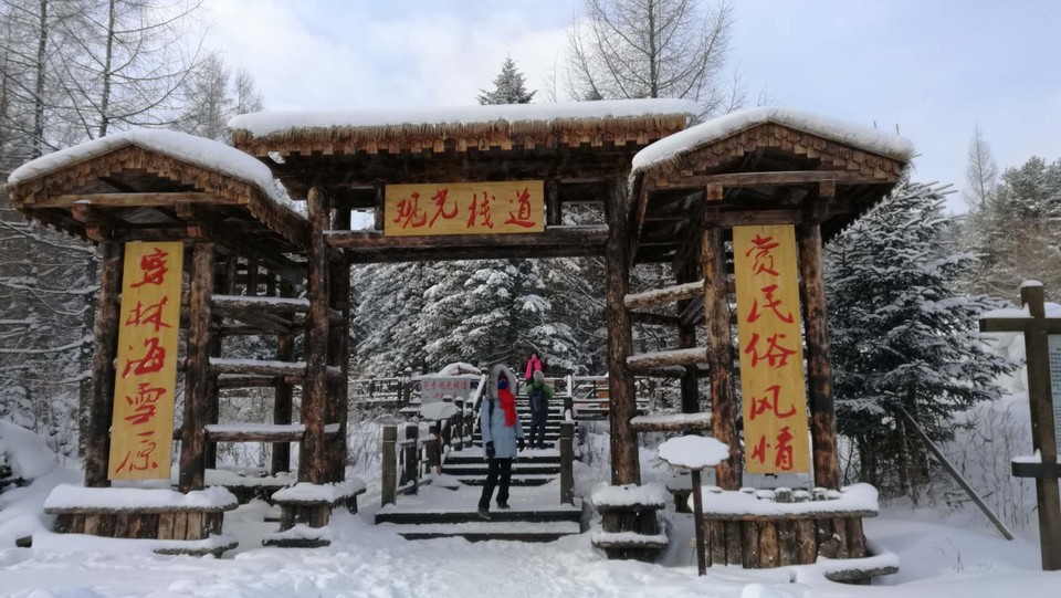 微信图片_20171119104102