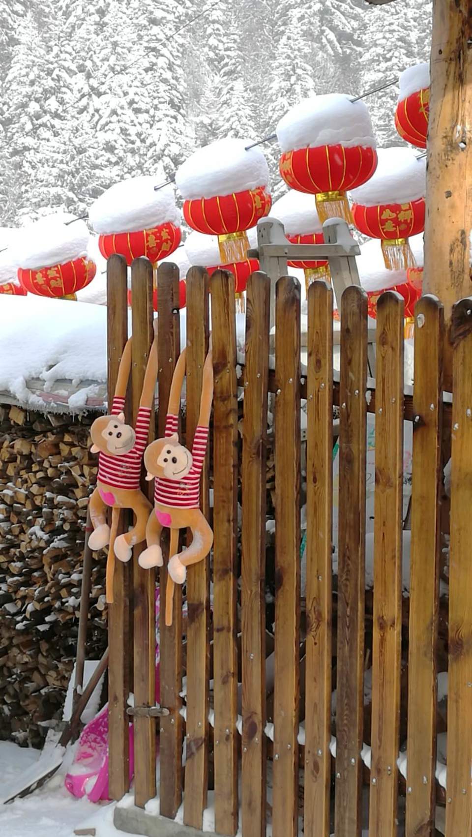 微信图片_20171119104122