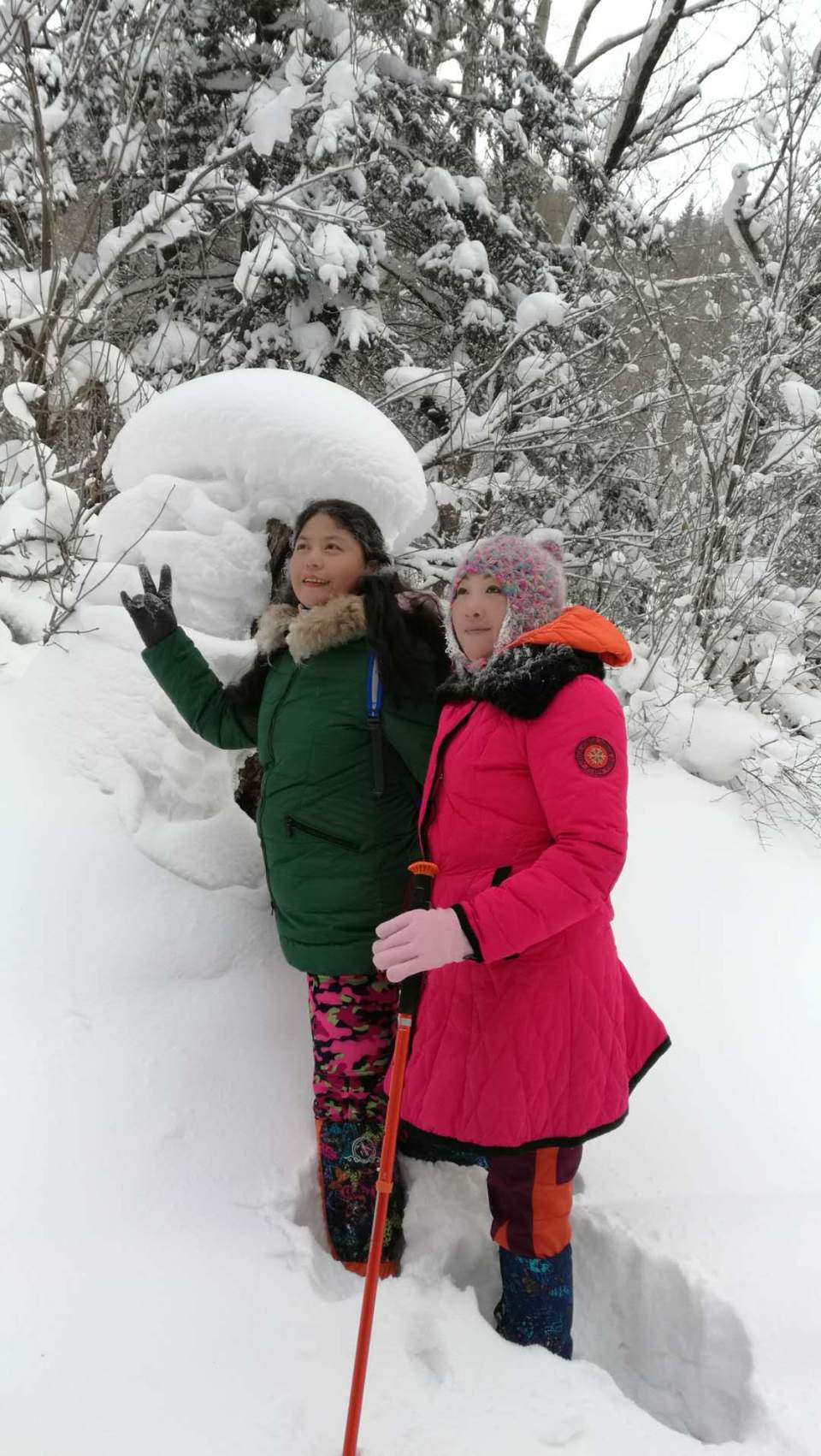 微信图片_20171119104244