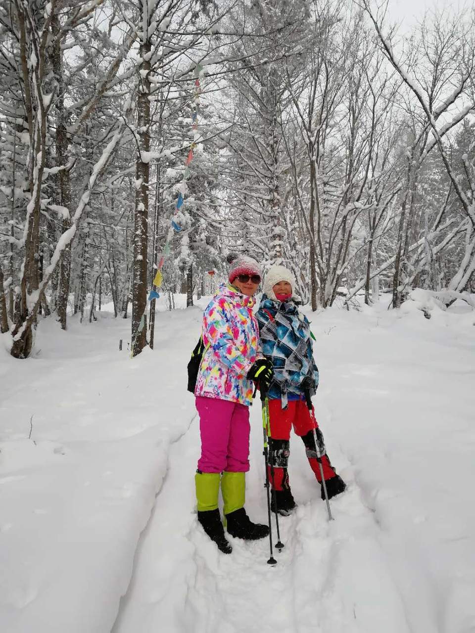 微信图片_20171119104541