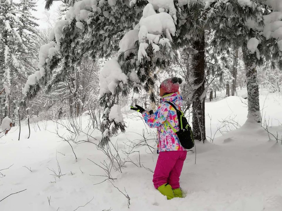 微信图片_20171119104609