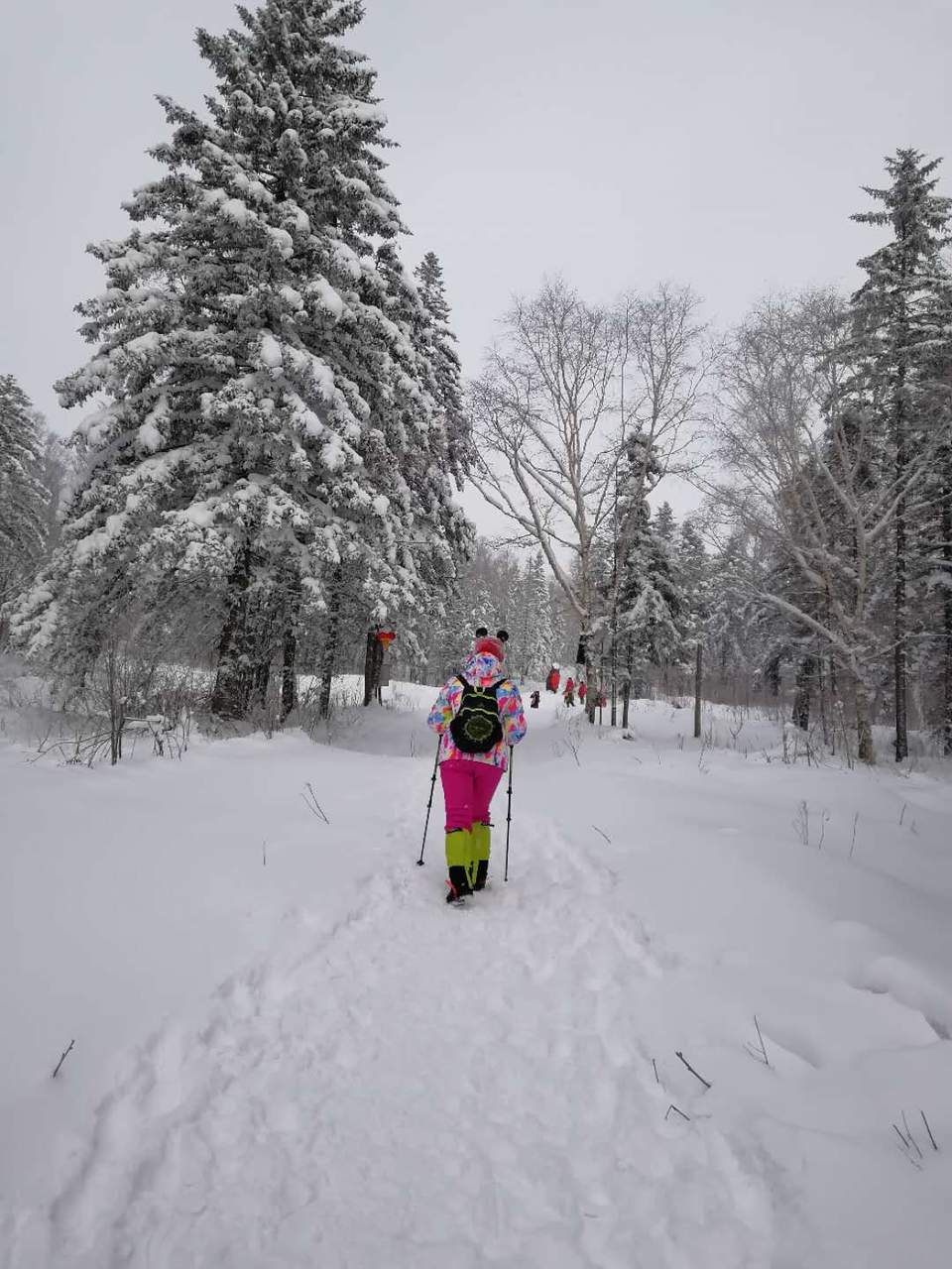 微信图片_20171119105625