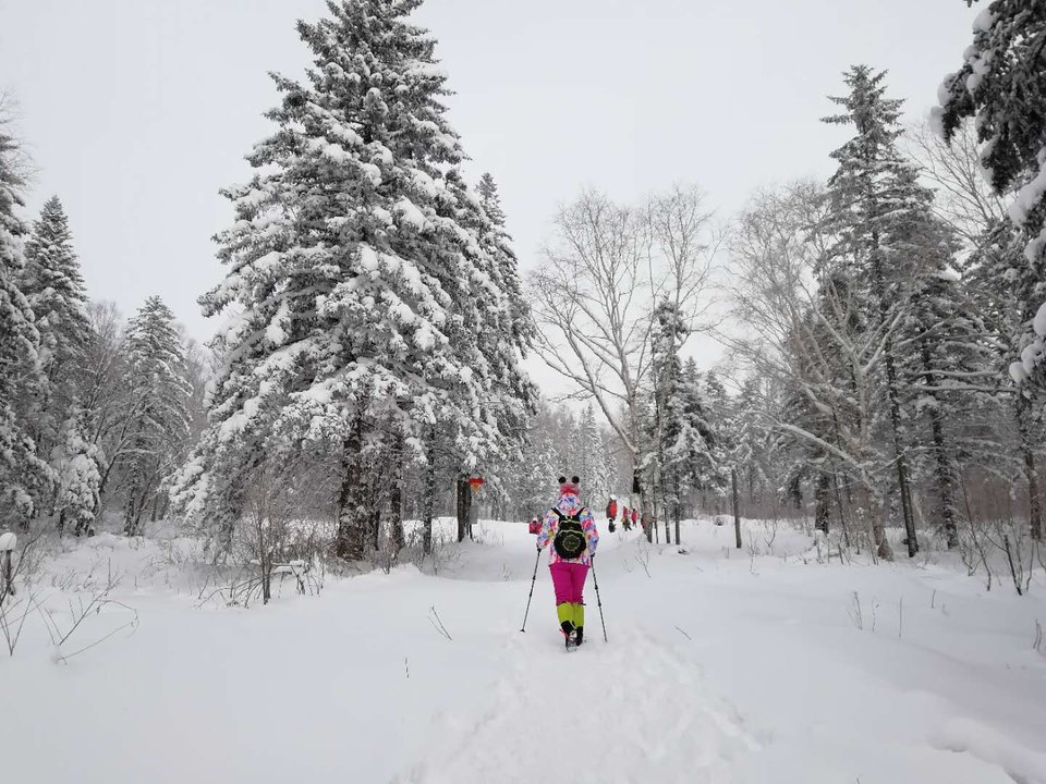 微信图片_20171119105629