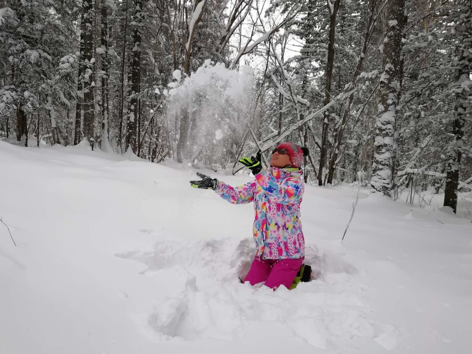 微信图片_20171119105636