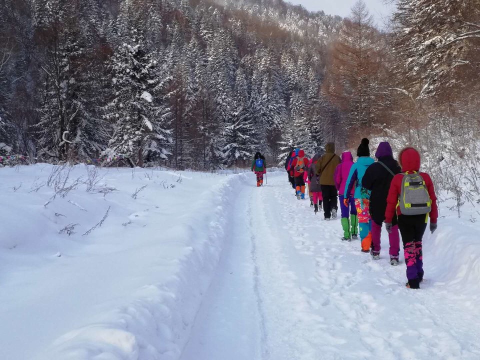 微信图片_20171119105647