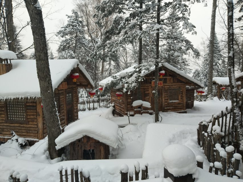 微信图片_20171122210417