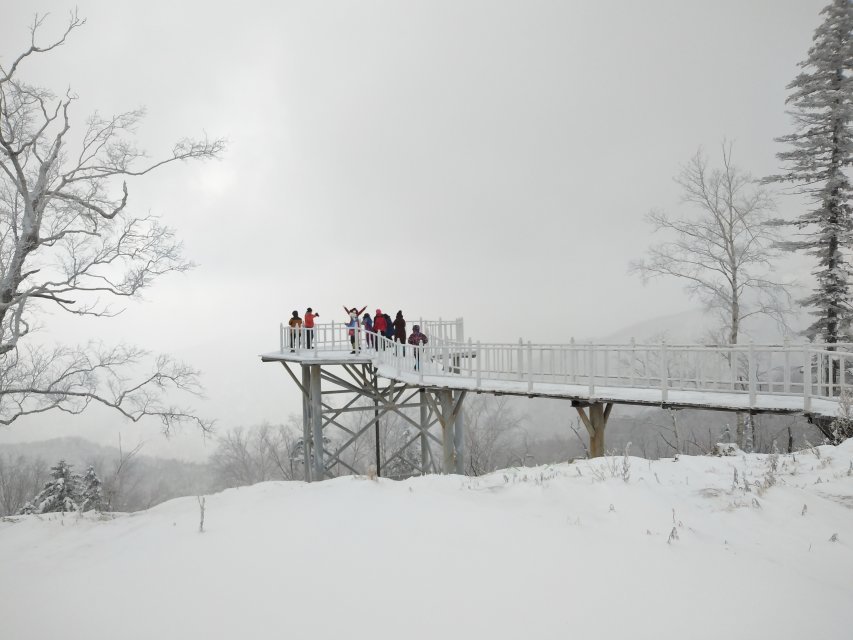 微信图片_20171122210422