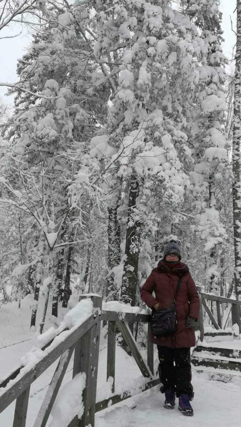 微信图片_20171118122326