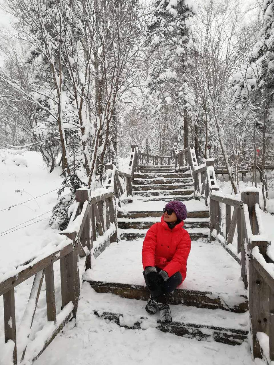 微信图片_20171118122337